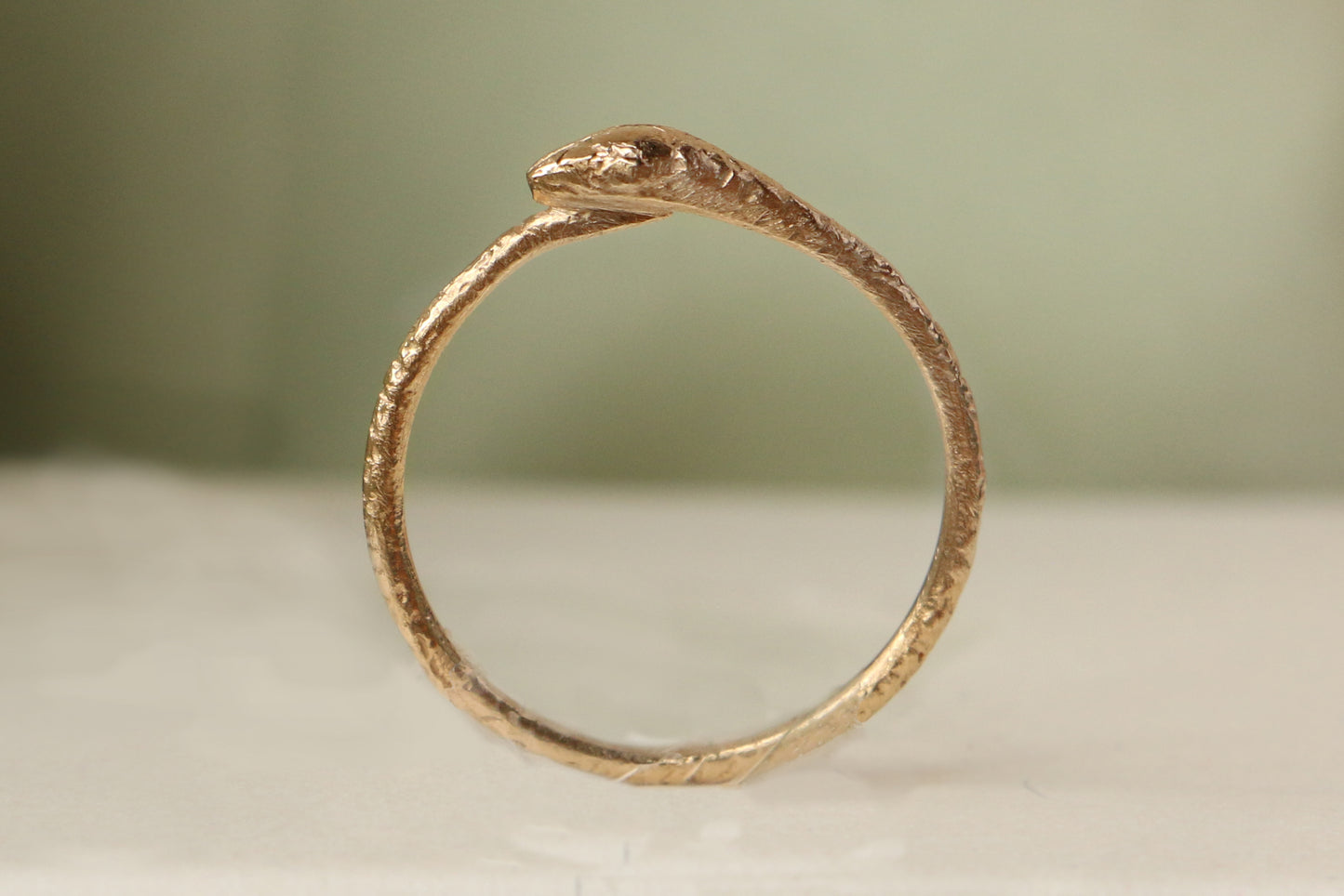 The snake familiar ring